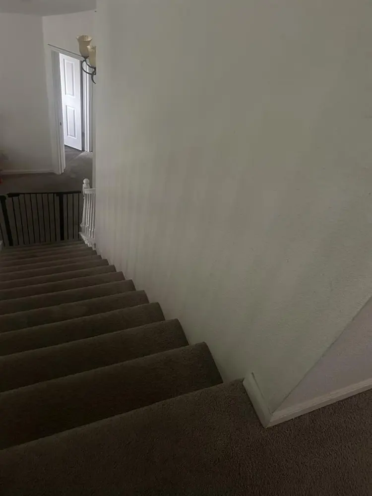 Need a roomate