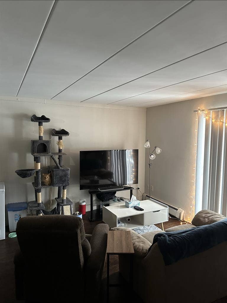 Roommate Needed ASAP!