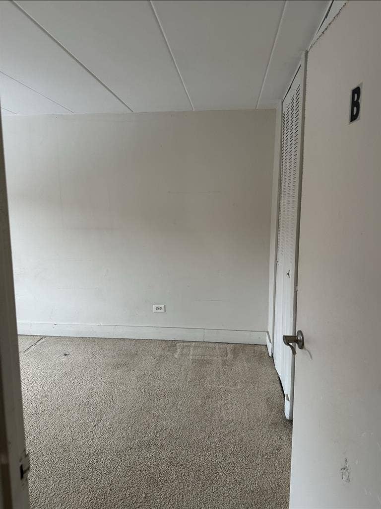 Roommate Needed ASAP!