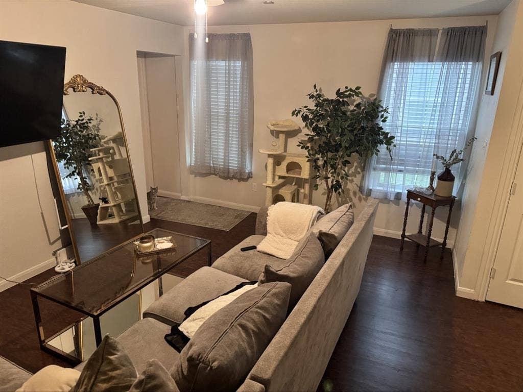 Cozy, Quiet, Drama-Free