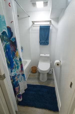 Roommate needed!