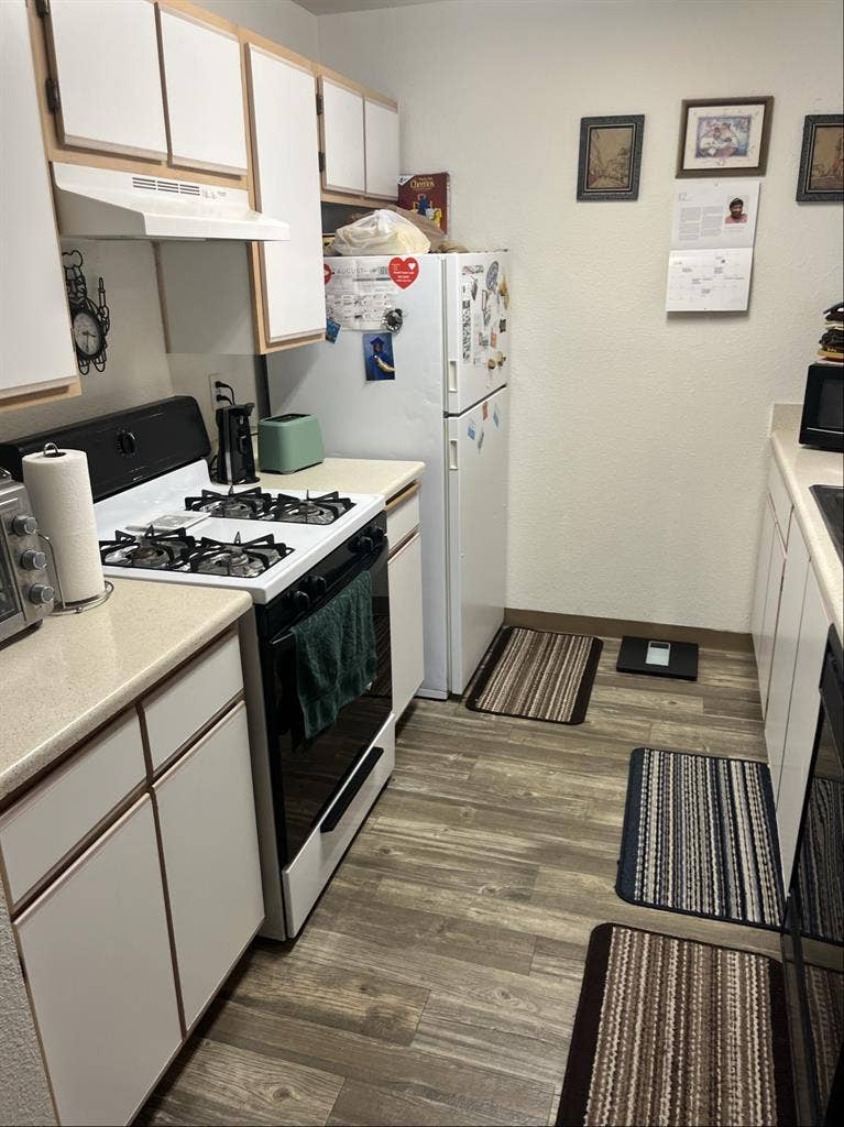 Looking for Female Roommate +