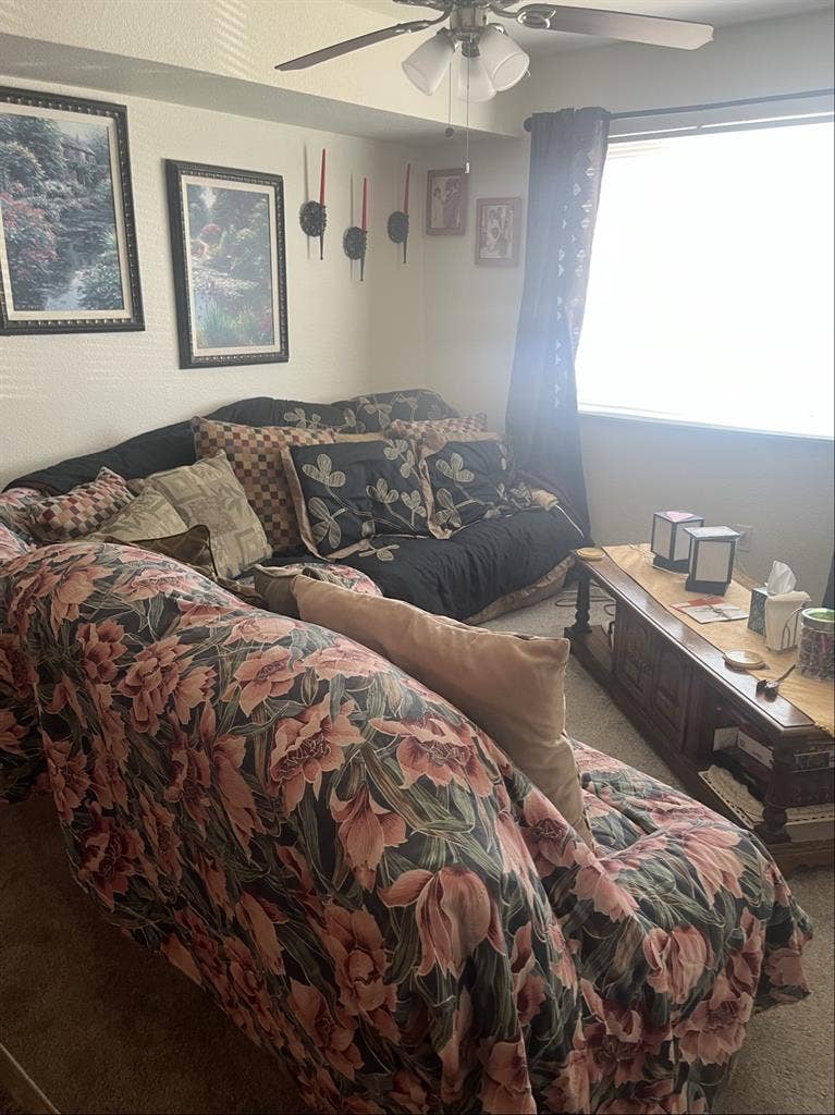 Looking for Female Roommate +