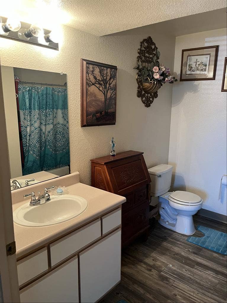 Looking for Female Roommate +