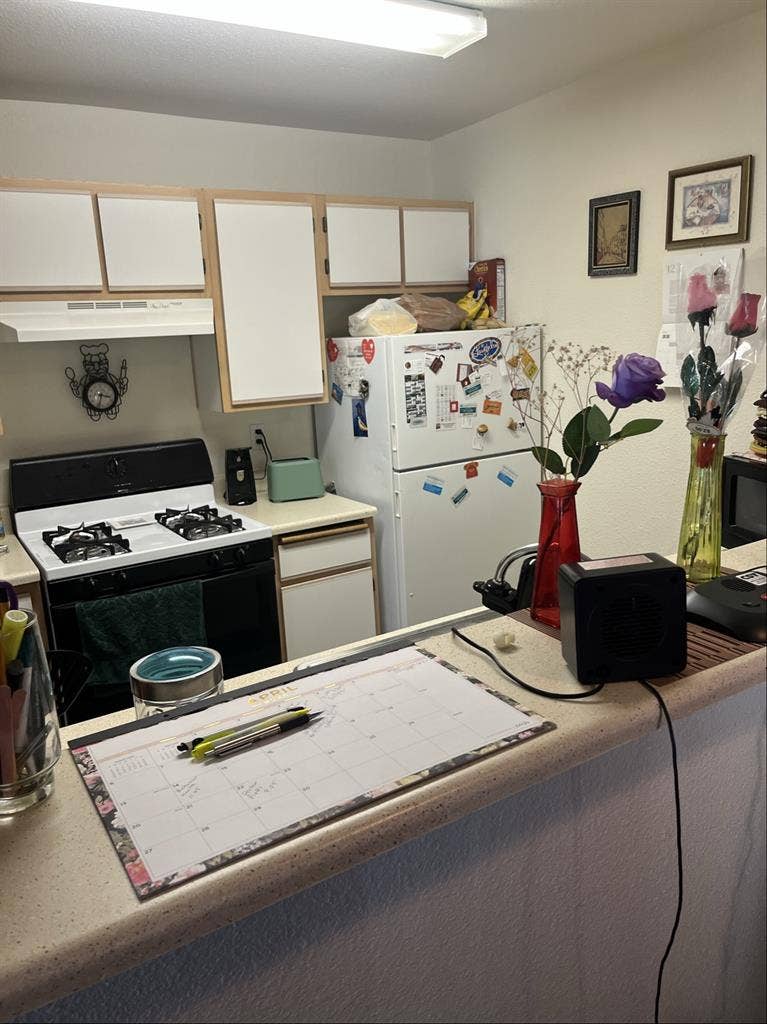 Looking for Female Roommate +