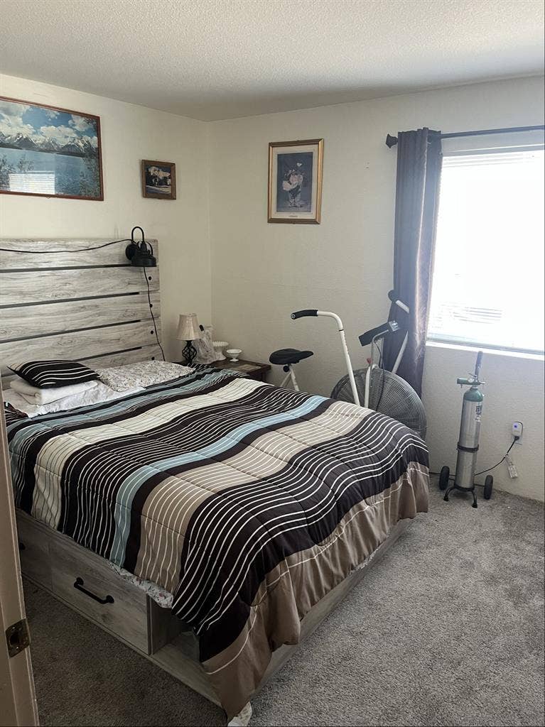 Looking for Female Roommate +