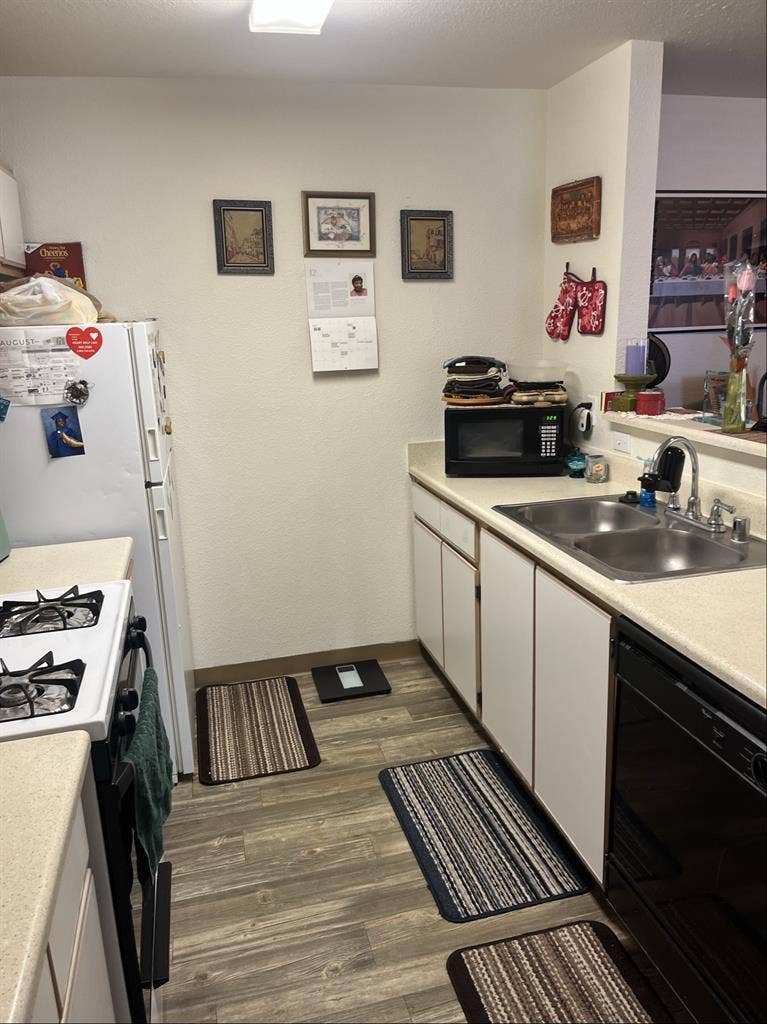 Looking for Female Roommate +