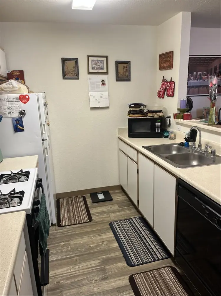 Looking for Female Roommate +