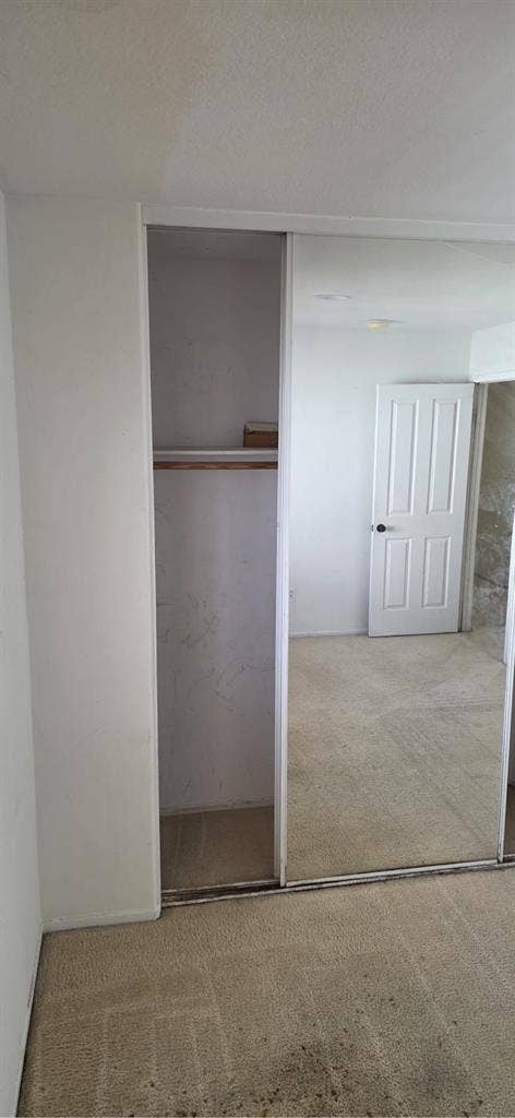 Private Room and Bathroom