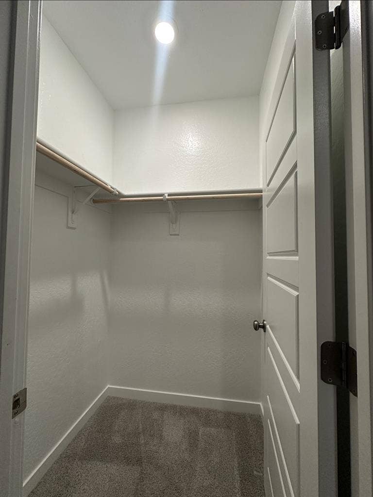 All Female Tenant Living