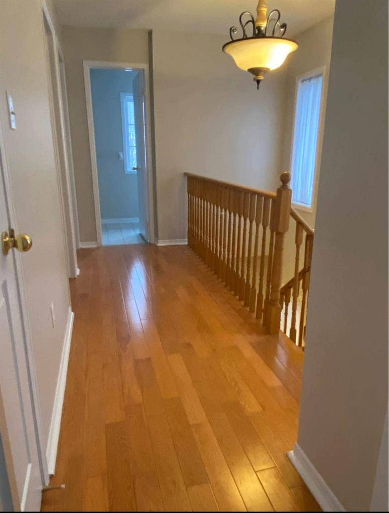 Rent Central Mississauga Detached