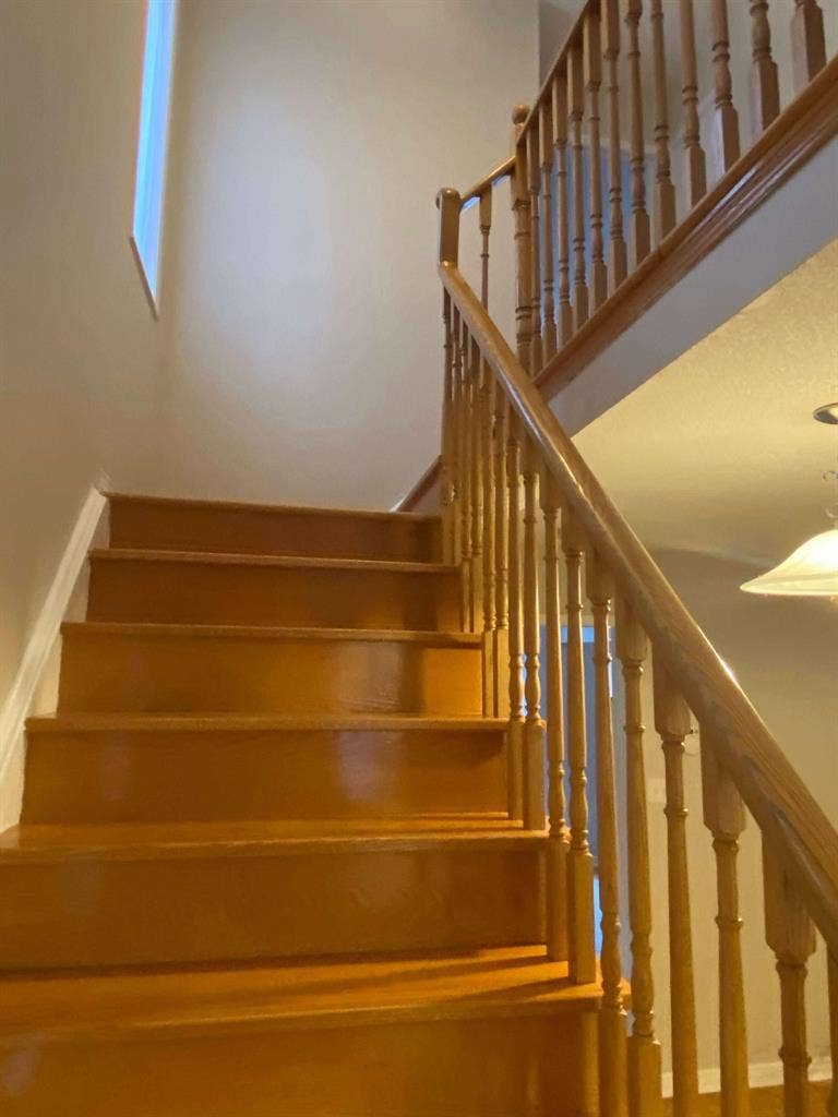 Rent Central Mississauga Detached