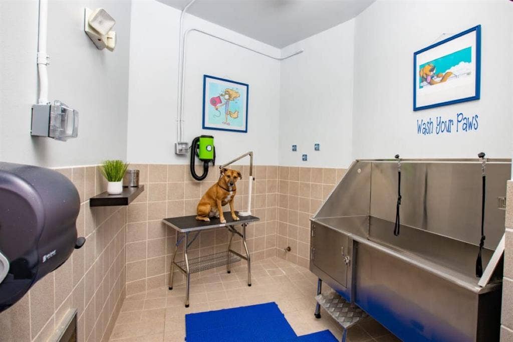 Luxury Apt Near UF vet
