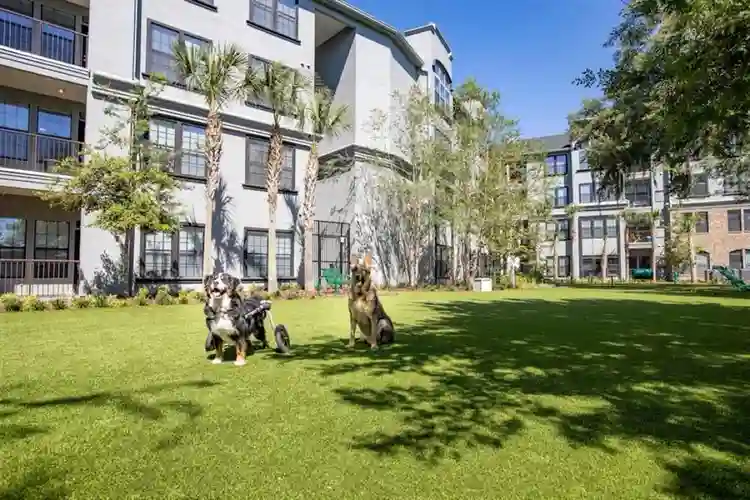 Luxury Apt Near UF vet