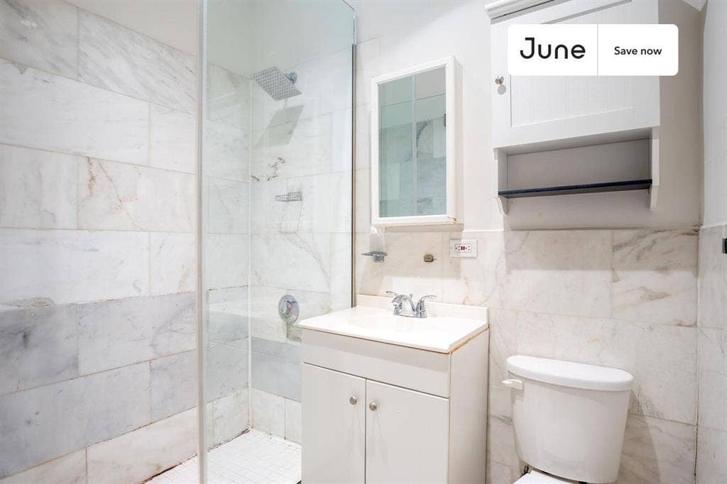 1 BR in New York City