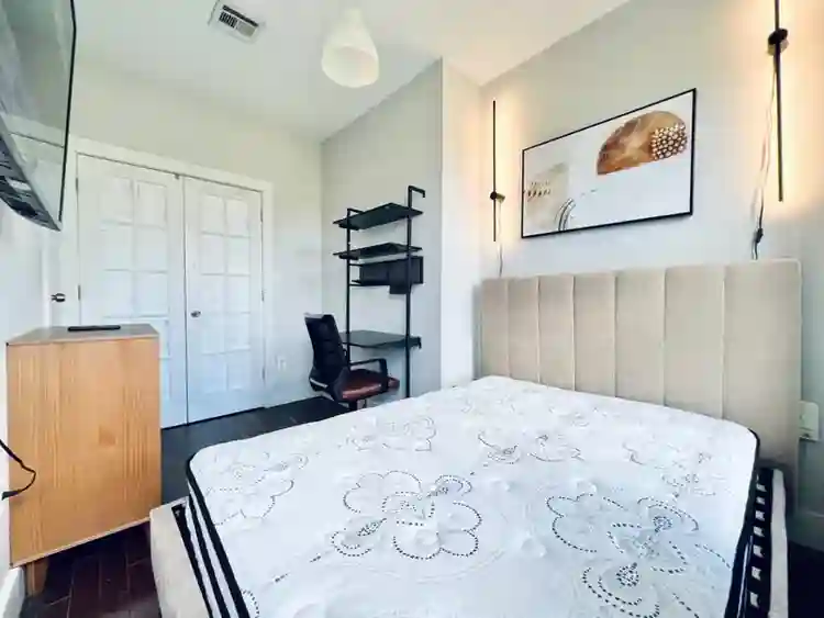 Room for Student or Professional