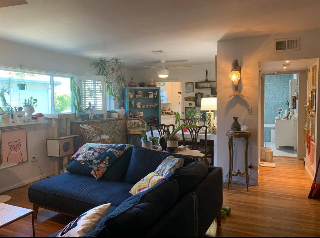 Looking for great female roommate!