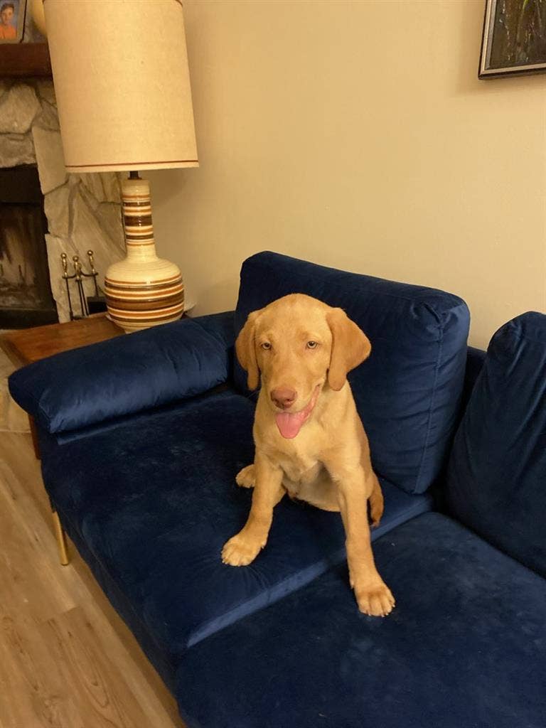 New Listing