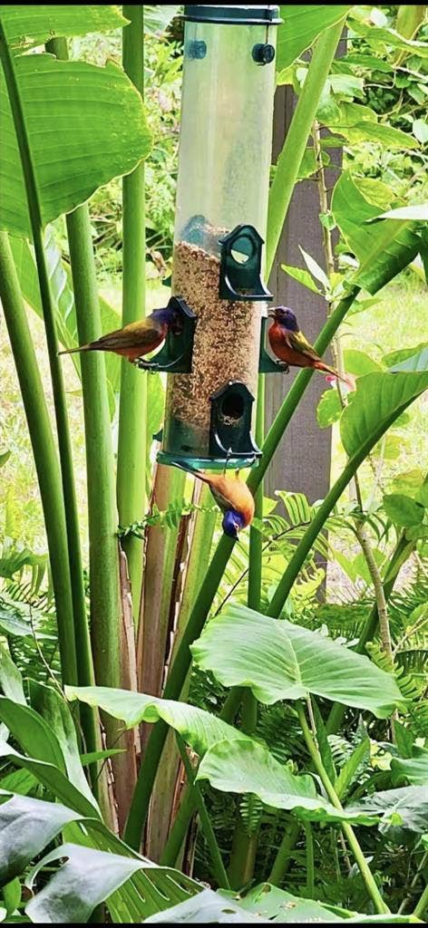 Nice furnished room for FEMALE