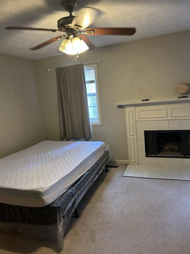Female roommates wanted