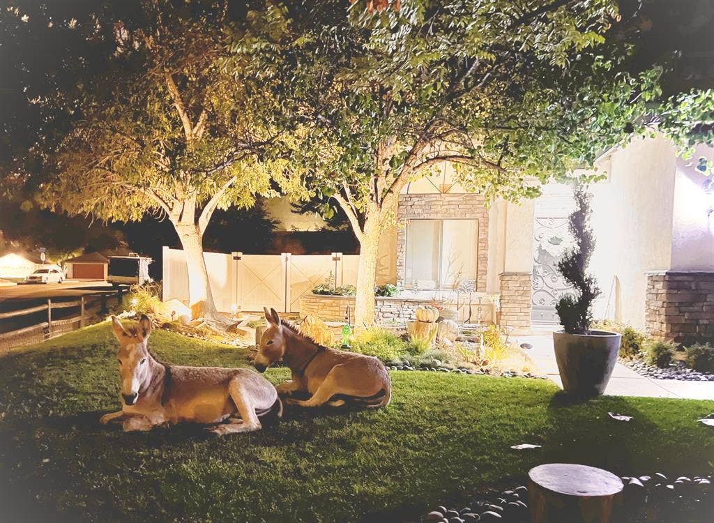 Room for Rent - Move in Special