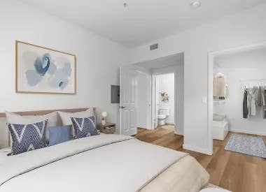 Roommate Wanted