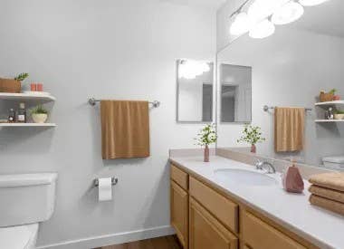 Roommate Wanted