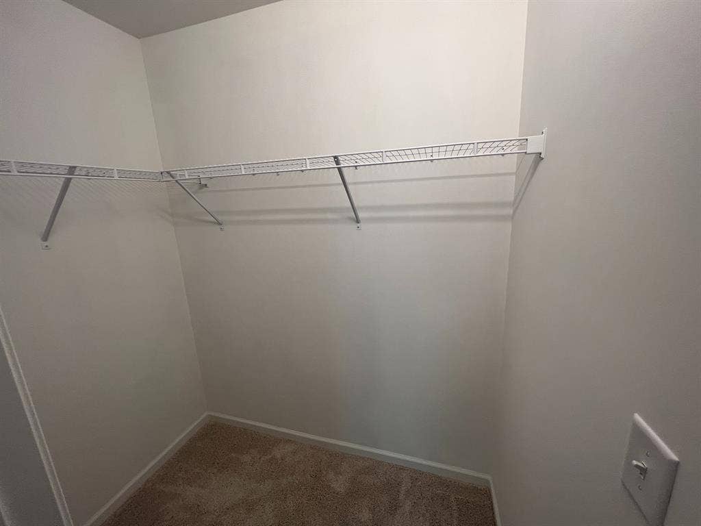 5 BR in Raleigh