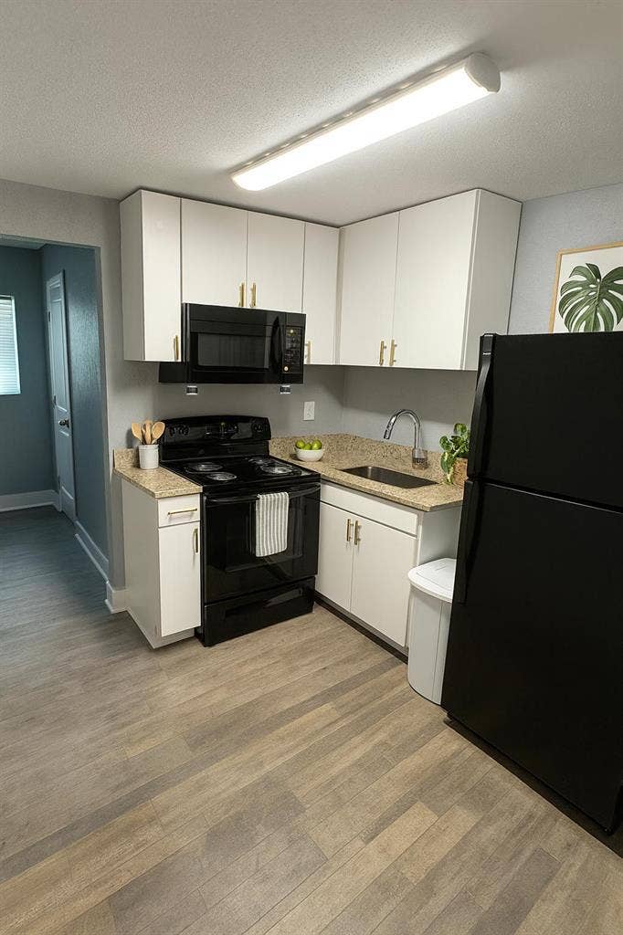 6 BR in Tampa