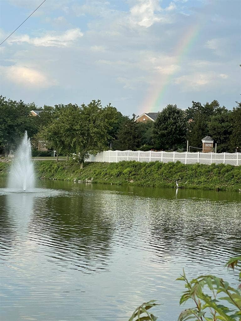 Older Adult Seeking Roomate