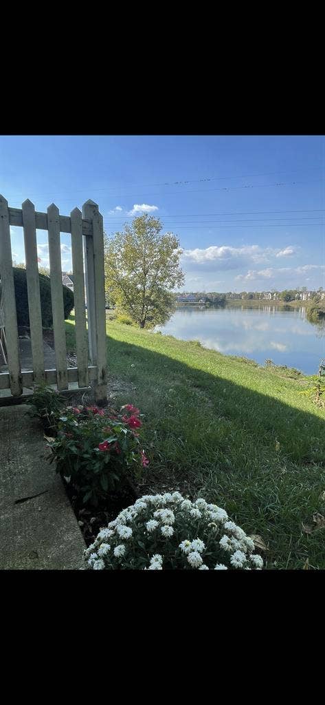 Older Adult Seeking Roomate