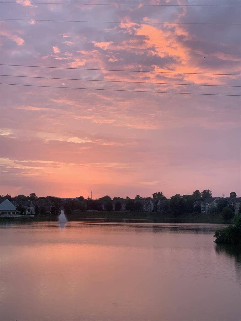 Older Adult Seeking Roomate