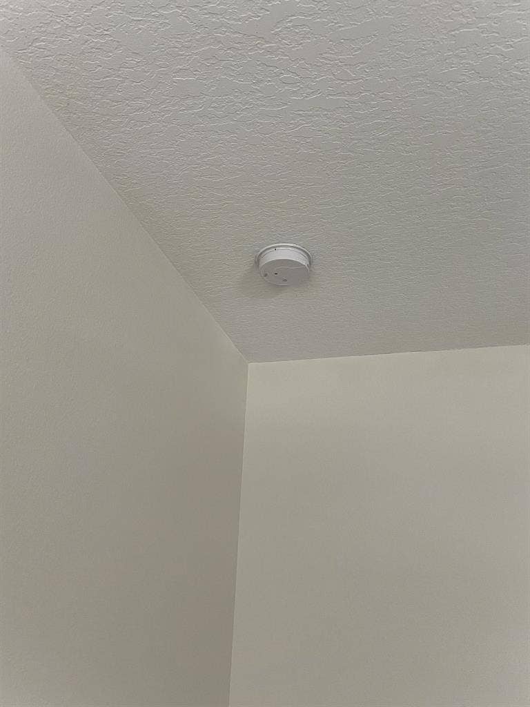 6 BR in Orlando