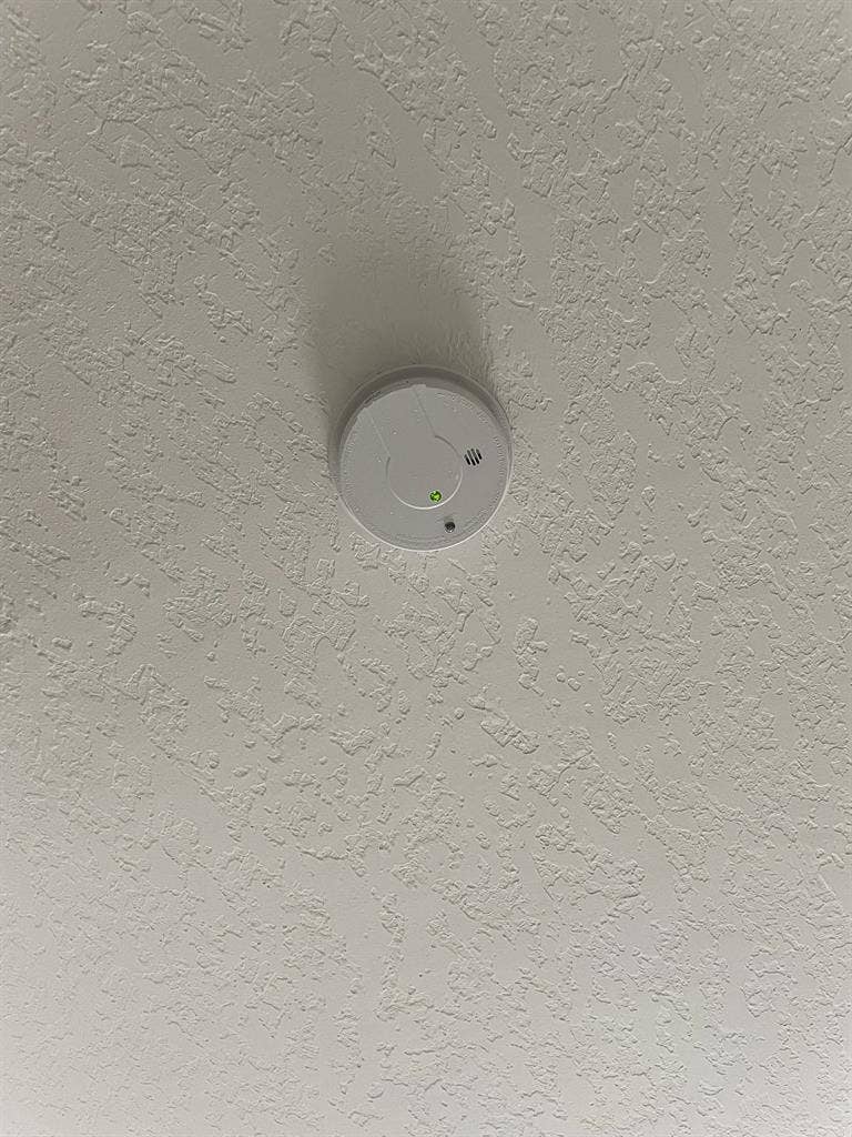 6 BR in Orlando
