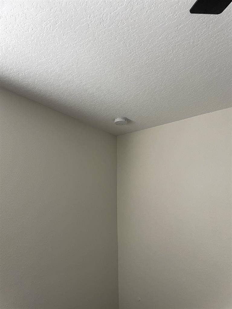 6 BR in Orlando