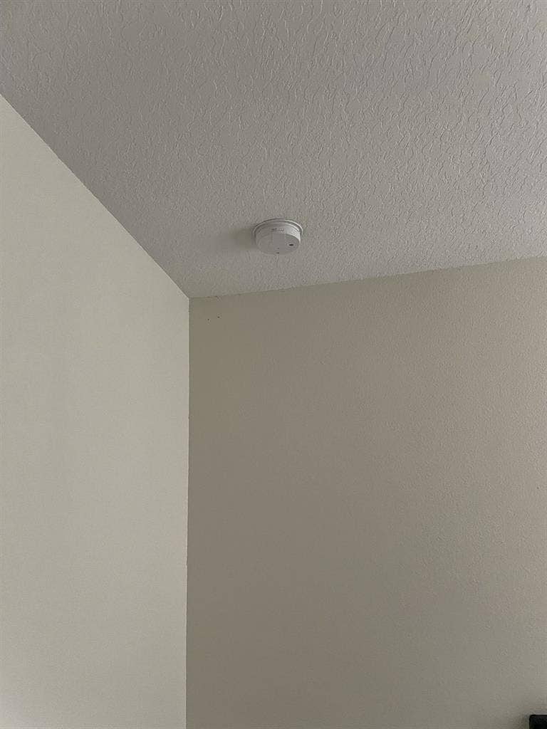 6 BR in Orlando