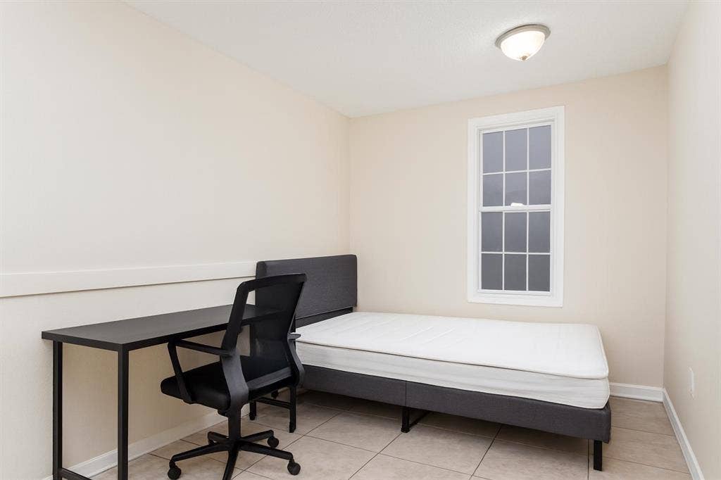 3 BR in Tampa