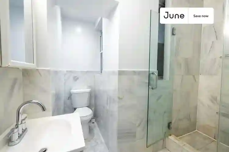 1 BR in New York City