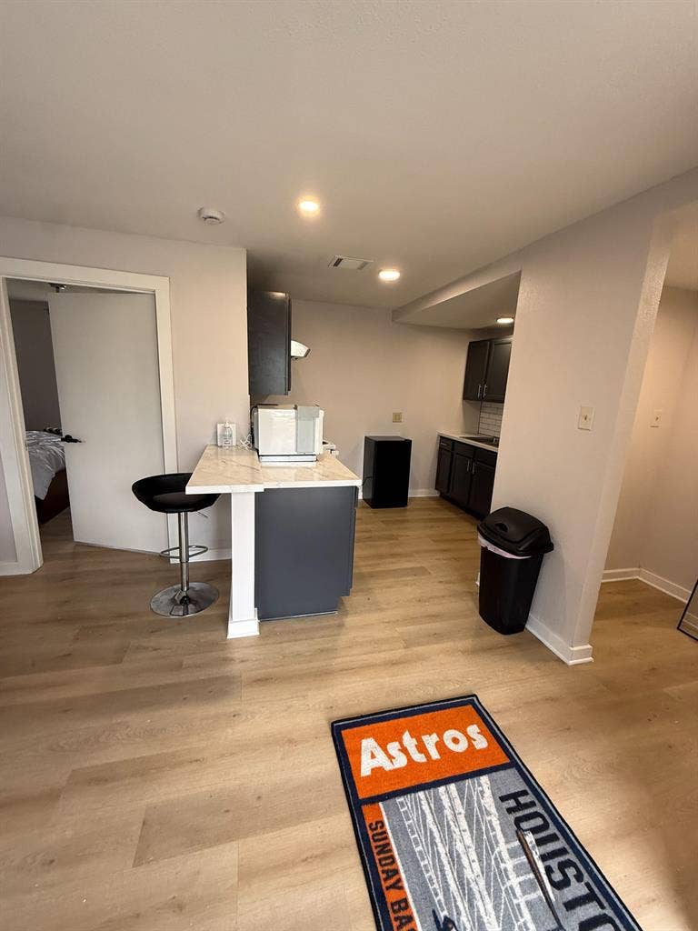 1 BR in Houston