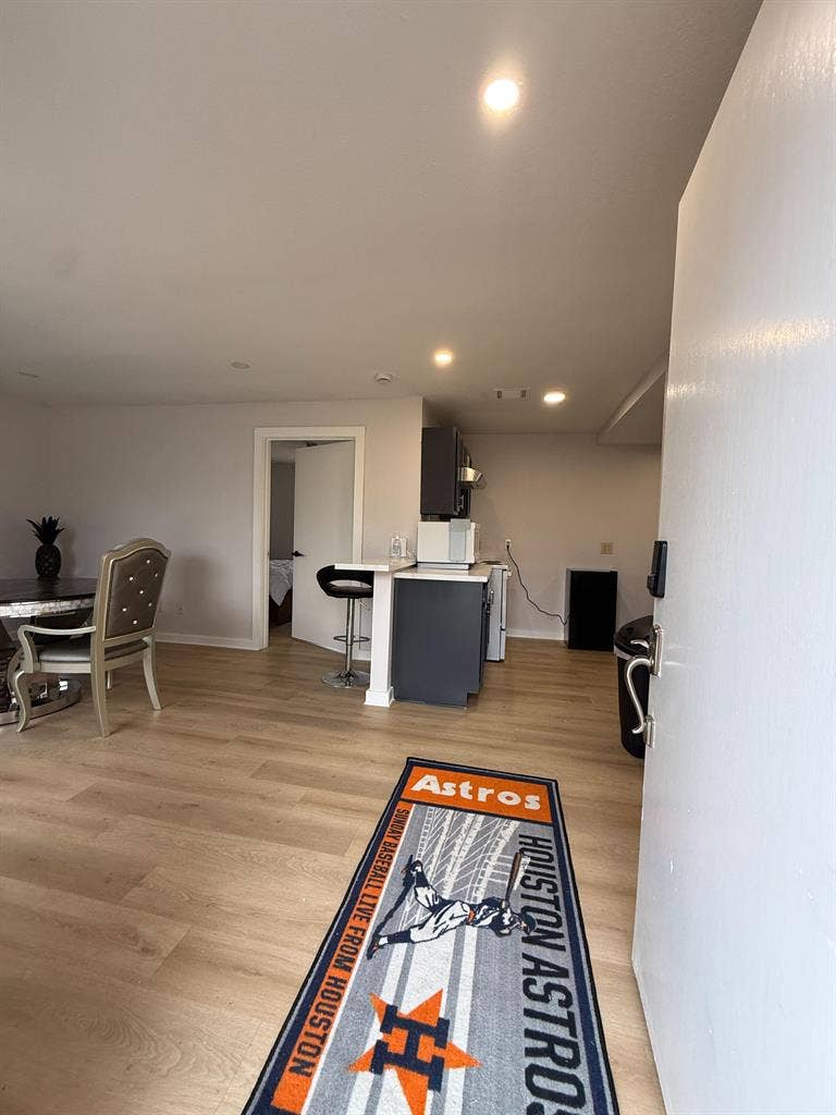 1 BR in Houston