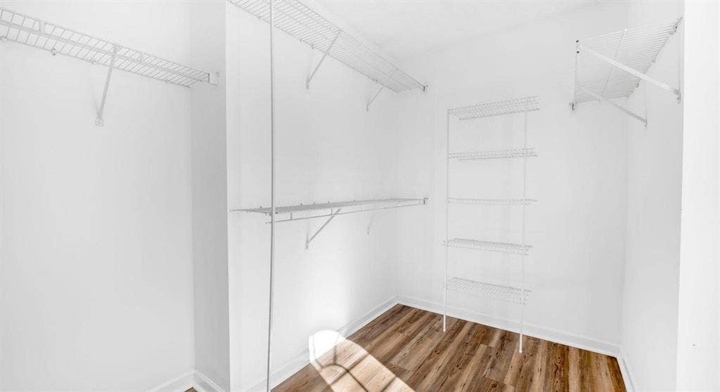 8 BR in Charlotte