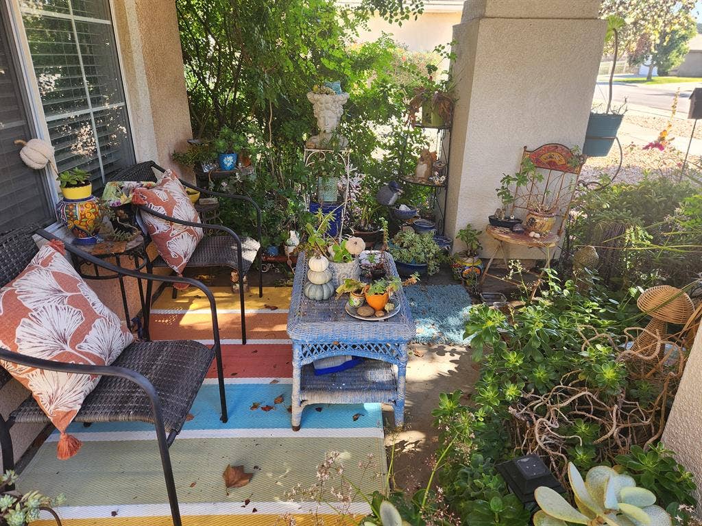 Room 4 rent