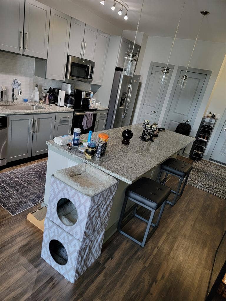 Looking for Move-in Relationship