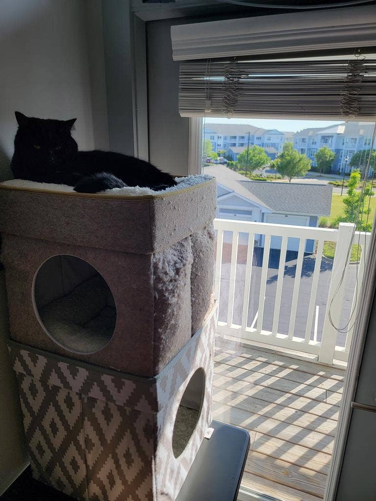 Looking for Move-in Relationship