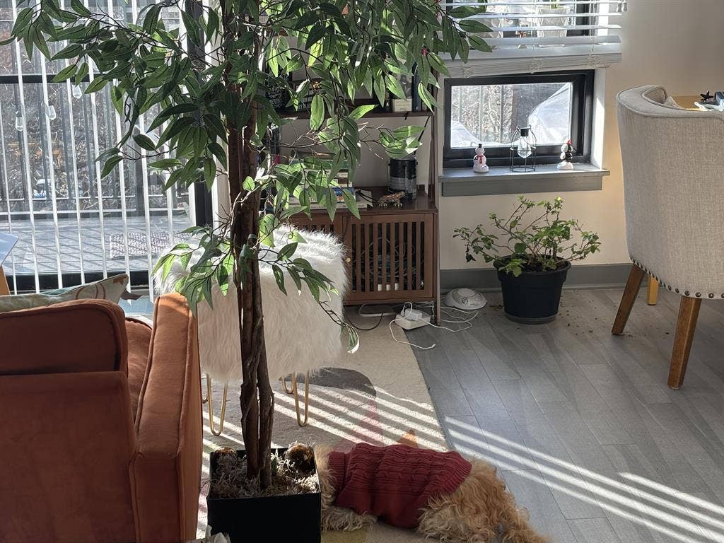 One bedroom avail private bathroom