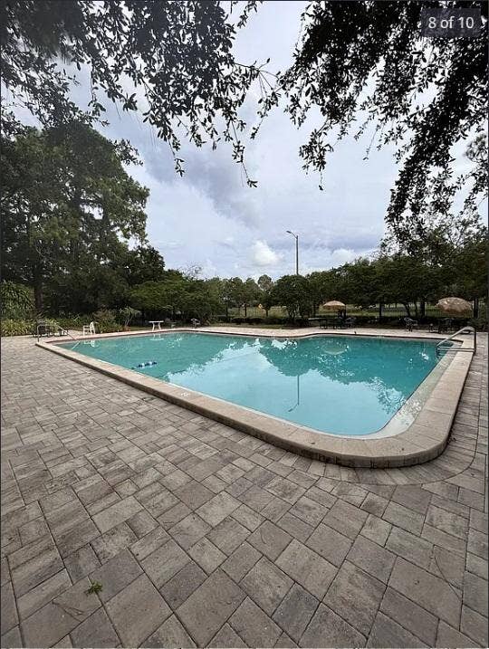 1 BR in Tampa