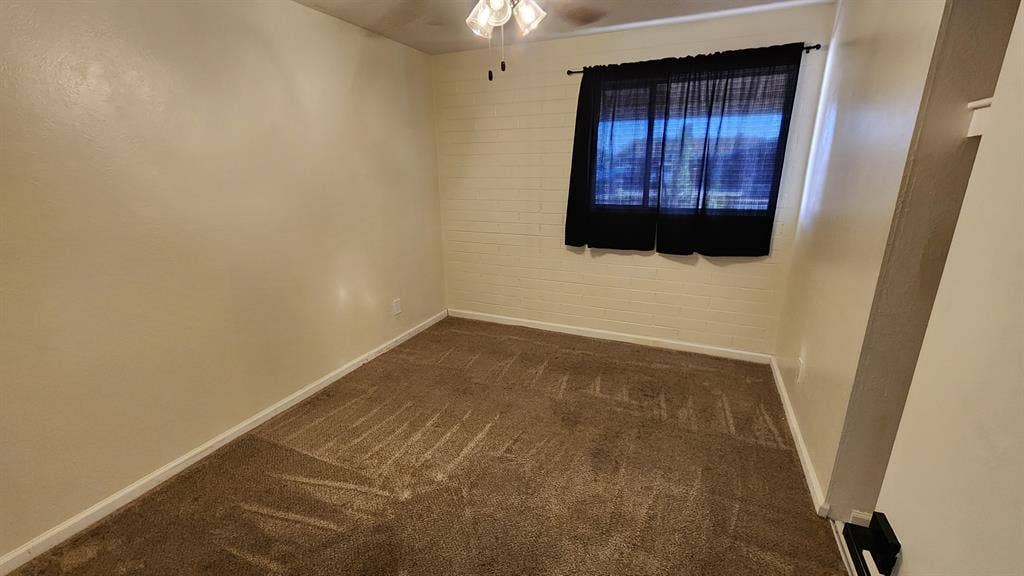 Female Roommates Wanted