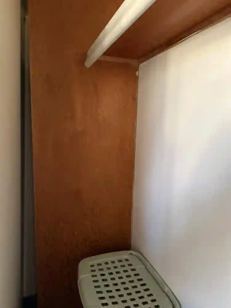 Looking for a Roommate!