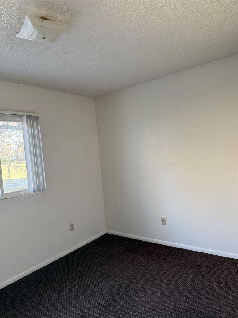 Looking for a Roommate!