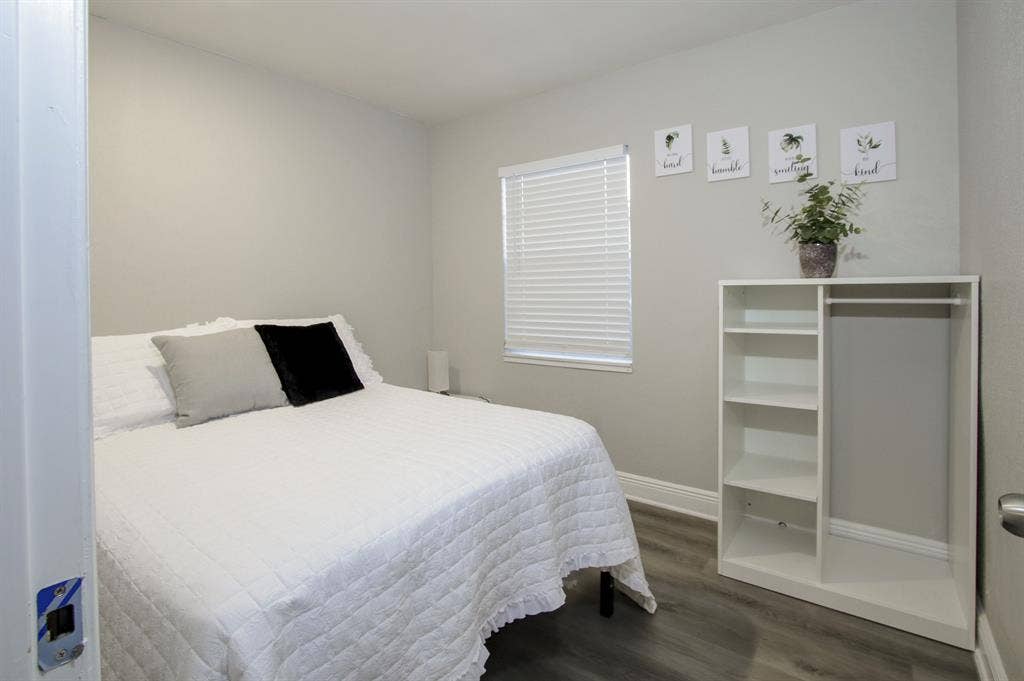 7 BR in Tampa